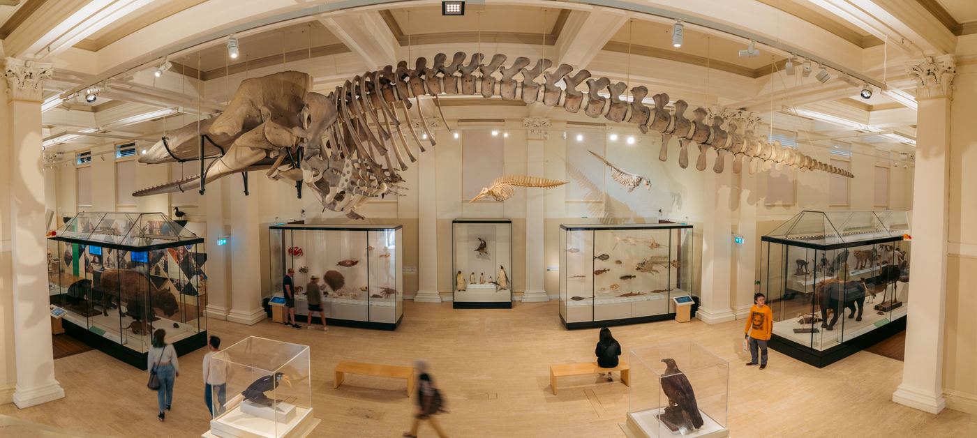 Australian Museum