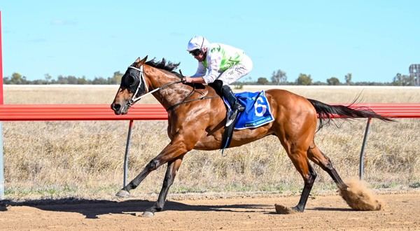 Racing Queensland